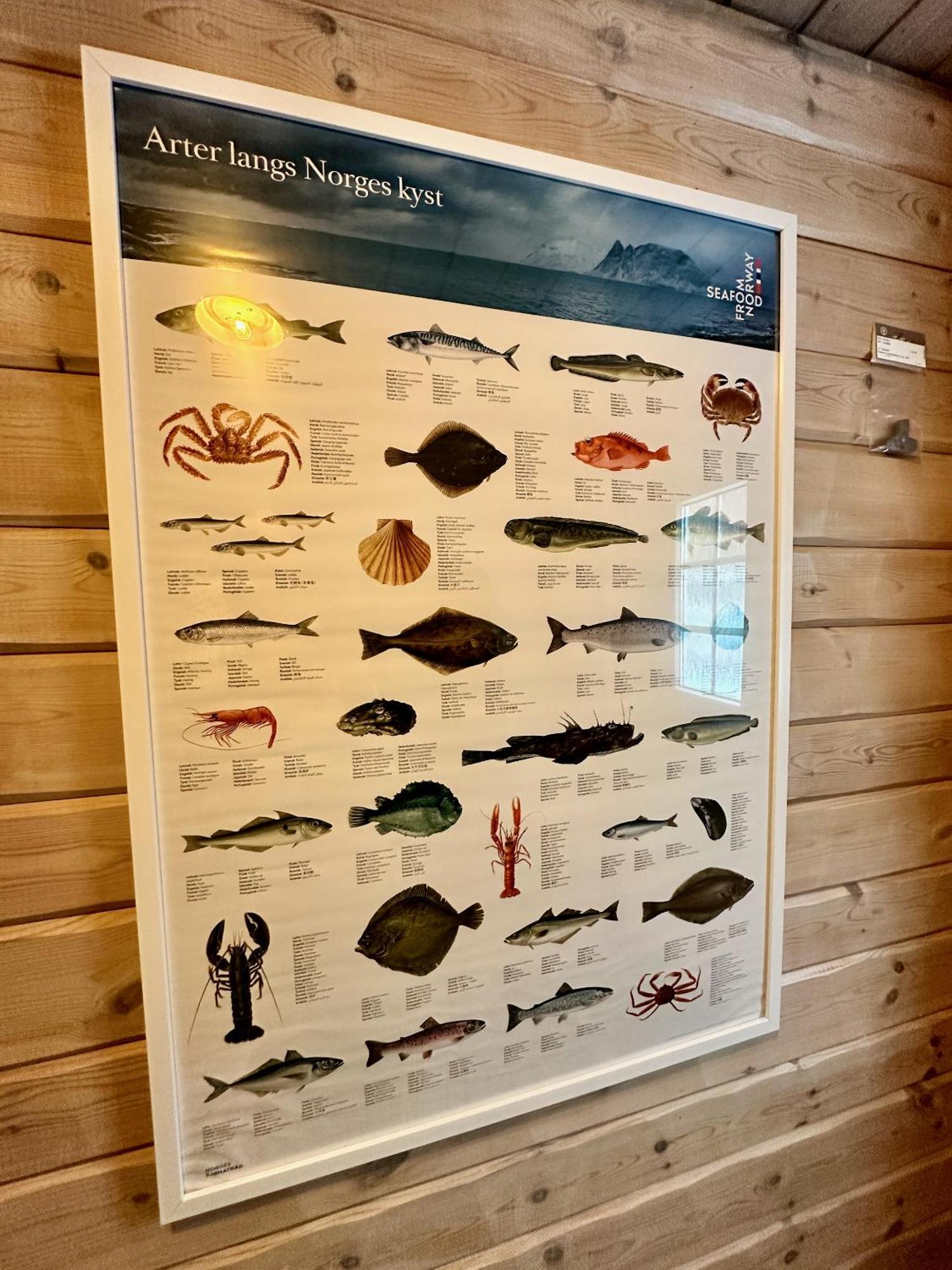 Lofoten Troll Point Bostad Exteriör bild