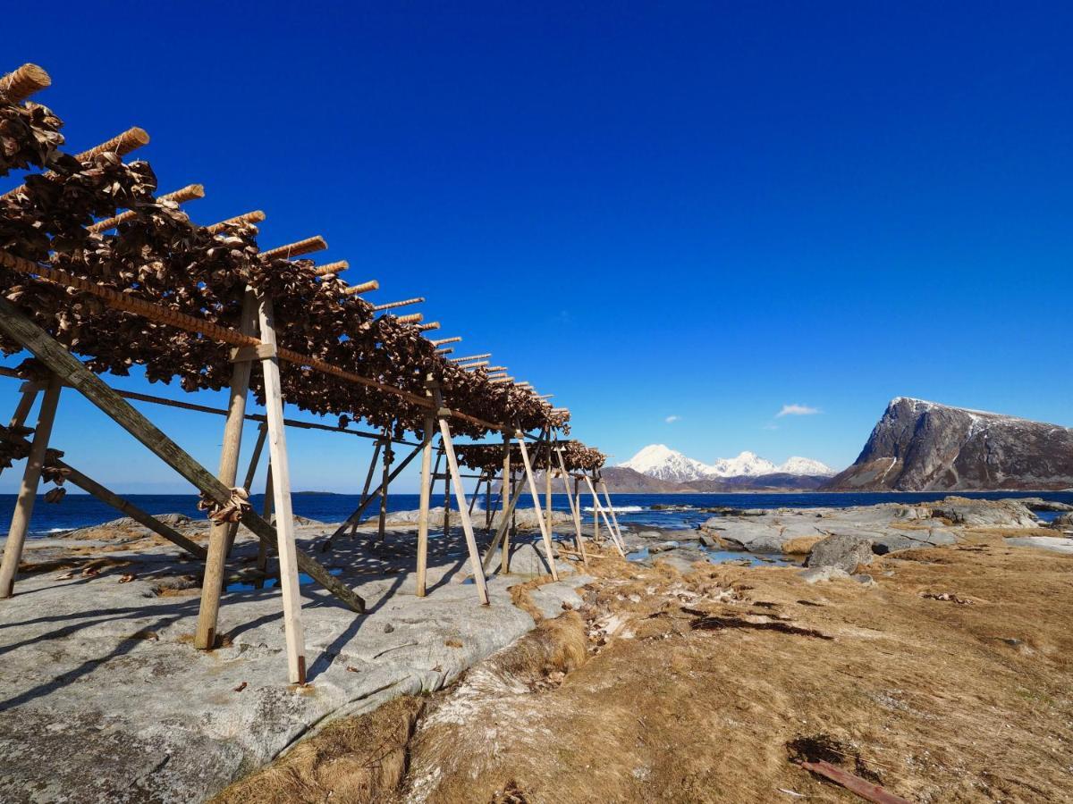 Lofoten Troll Point Bostad Exteriör bild