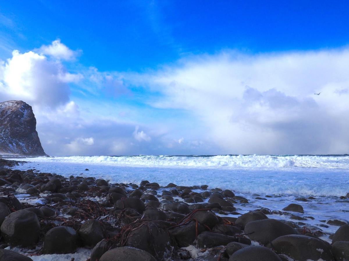 Lofoten Troll Point Bostad Exteriör bild